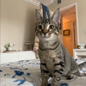 Meet your Posher, Kyla